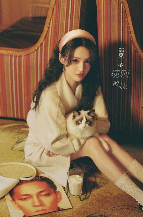 张恒娱乐爆料最新消息视频,最新视频揭秘娱乐圈惊人内幕  第2张